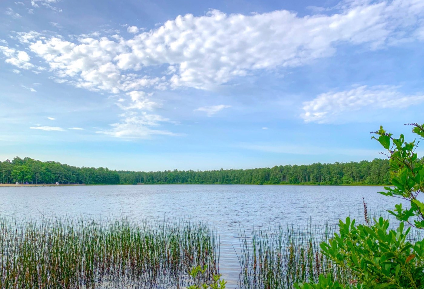 Marsh and open water in Southeastern New Jersey